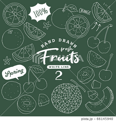イラスト素材 おしゃれでシンプルなフルーツペン画手書き2 春の果物のイラスト素材