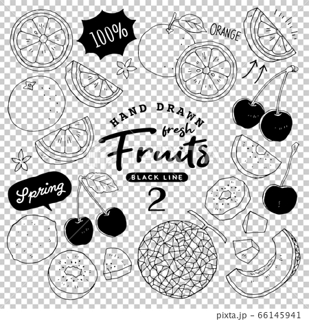 イラスト素材 おしゃれでシンプルなフルーツペン画手書き2 春の果物のイラスト素材