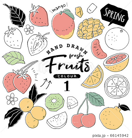 イラスト素材 おしゃれでシンプルなフルーツペン画手書き1 春の果物のイラスト素材