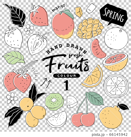 イラスト素材 おしゃれでシンプルなフルーツペン画手書き1 春の果物のイラスト素材