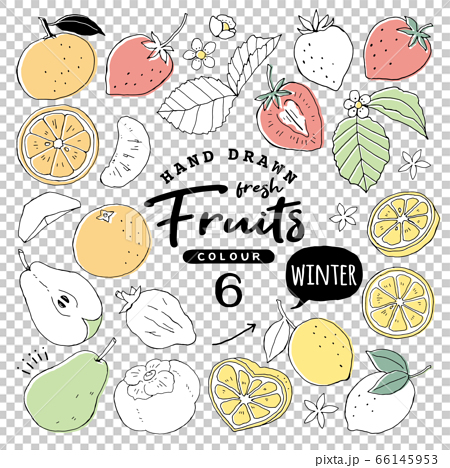 Simple and cute fruit line drawing... - Stock Illustration [78471248] -  PIXTA