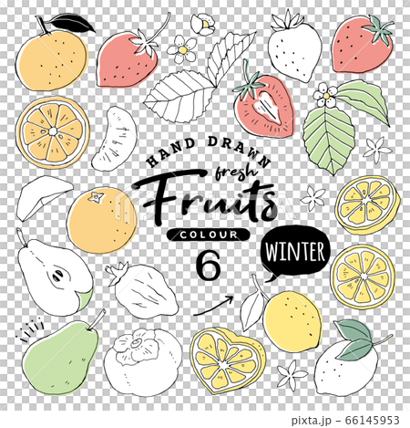 Simple and cute fruit line drawing... - Stock Illustration [78471248] -  PIXTA