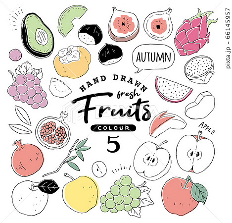 イラスト素材 おしゃれでシンプルなフルーツペン画手書き5 秋の果物のイラスト素材