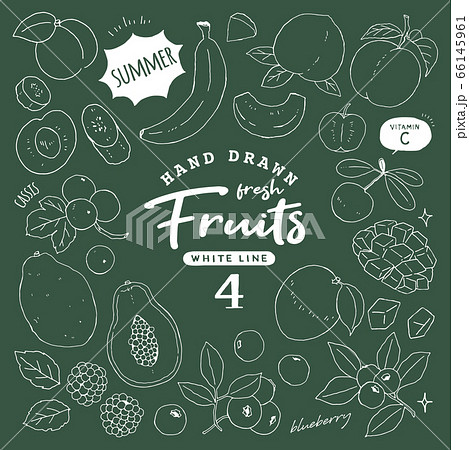 イラスト素材 おしゃれでシンプルなフルーツペン画手書き4 夏の果物のイラスト素材