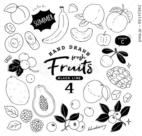 イラスト素材 おしゃれでシンプルなフルーツペン画手書き4 夏の果物のイラスト素材 66145962 Pixta