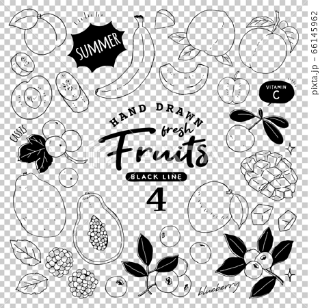 イラスト素材 おしゃれでシンプルなフルーツペン画手書き4 夏の果物のイラスト素材