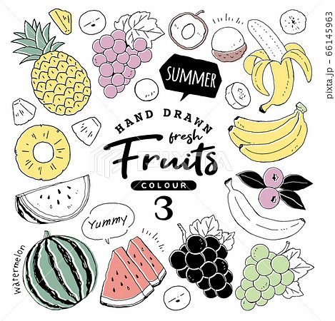 イラスト素材 おしゃれでシンプルなフルーツペン画手書き3 夏の果物のイラスト素材