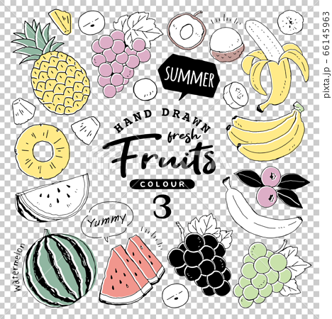 イラスト素材 おしゃれでシンプルなフルーツペン画手書き3 夏の果物のイラスト素材