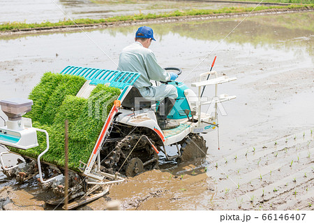 田植機を操縦する農家の男性 田植機を操縦する農家の男性 66146407