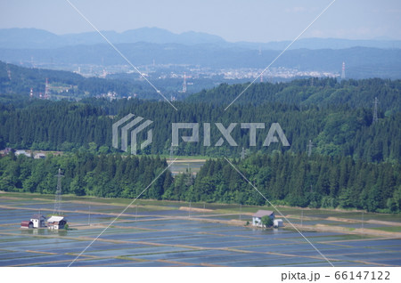 水田 水田 66147122