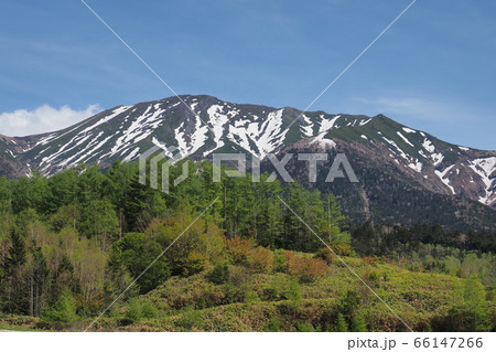 濁河温泉スキー場跡地から見た御岳山の眺望 濁河温泉スキー場跡地から見た御岳山の眺望 66147266