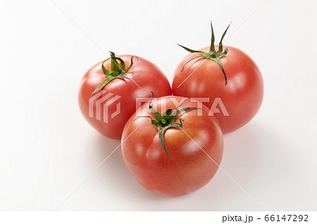 トマト 66147292