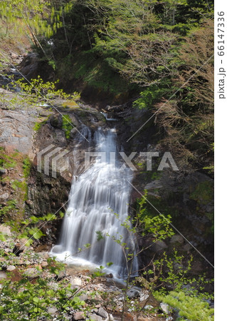 小坂の滝めぐり・白糸の滝 66147336