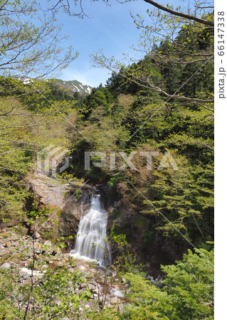 小坂の滝めぐり・白糸の滝 66147338