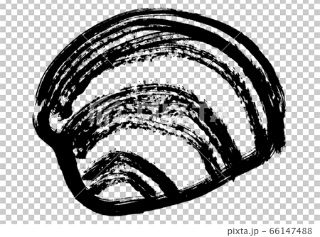 ホンビノス貝　水彩画 66147488