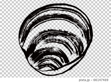 洪比諾斯殼水彩 66147489