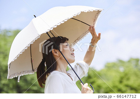 青空の下で日傘をさす女性 青空の下で日傘をさす女性 66147712