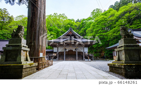 戸隠神社・中社 戸隠神社・中社 66148261