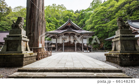 戸隠神社・中社 戸隠神社・中社 66148285