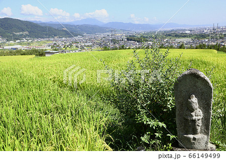 信州 姨捨棚田の道祖神 信州 姨捨棚田の道祖神 66149499