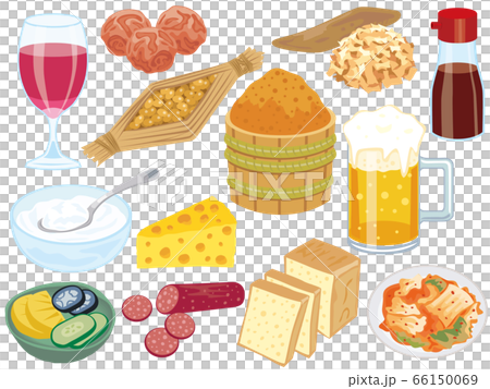 発酵食品セット 66150069