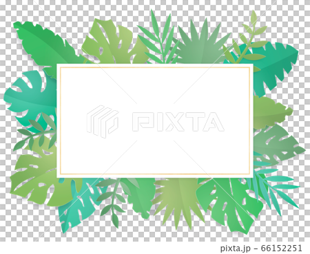 Tropical leaf square frame (tropical plants)-png Tropical leaf square frame (tropical plants)-png 66152251