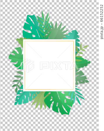 Tropical Leaf Square Frame Tropical Plants Png Stock Illustration