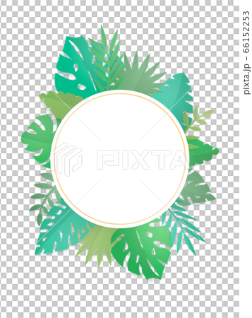 Round frame of tropical leaf (tropical plant)-png Round frame of tropical leaf (tropical plant)-png 66152253