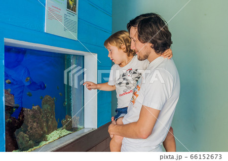 Father and son watching fish in an aquarium 66152673