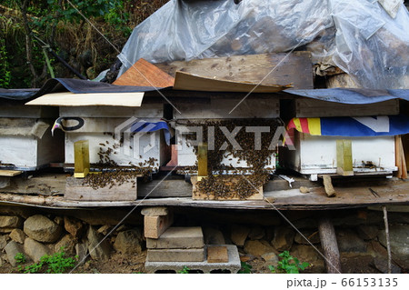 石垣 壁画村 風俗 66153135