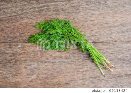 bunch of fresh organic dill on a rustic wooden background bunch of fresh organic dill on a rustic wooden background 66153424