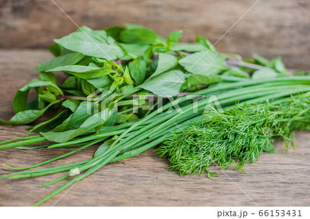 Green: green onions, dill and basil 66153431