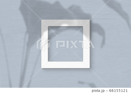 The square sheet of white textured paper on the grey wall background. Mockup with an overlay of plant shadows. Natural light casts shadows from the leaves of an exotic plant. Flat lay, top view 66155121