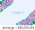 アサガオ　背景イラスト　morning glory background 02 66155144