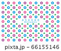 アサガオ　背景イラスト　morning glory background 01 66155146