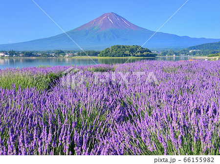 河口湖畔からの夏の風景-777639 河口湖畔からの夏の風景-777639 66155982