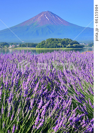 河口湖畔からの夏の風景-777641 66155984