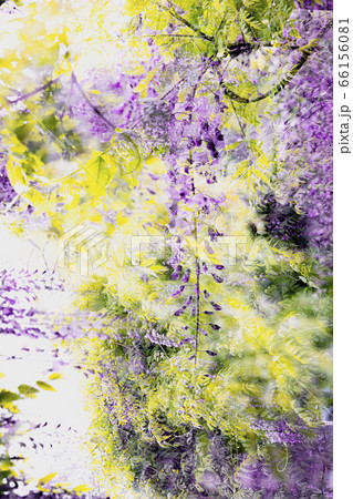 花びら 花 見よ 66156081