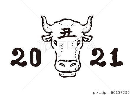 年賀2021　丑年のイラスト　素材 66157236
