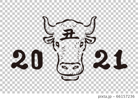 年賀2021　丑年のイラスト　素材 66157236