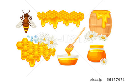 Honey omb with Hexagonal Wax Cells and Glass Jar Poured with Honey Vector Set 66157971