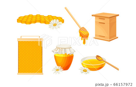 Honey omb with Hexagonal Wax Cells and Glass Jar Poured with Honey Vector Set 66157972
