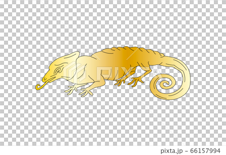 88星座線なし金カメレオン座 66157994