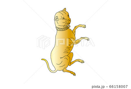 88星座線なし金おおいぬ座のイラスト素材 [66158007] - PIXTA