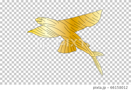 88星座線なし金とびうお座 66158012
