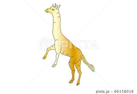 88星座線なし金きりん座 66158018