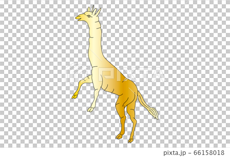 88星座線なし金きりん座 66158018