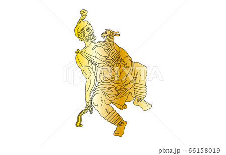 88星座線なし金ぎょしゃ座 66158019