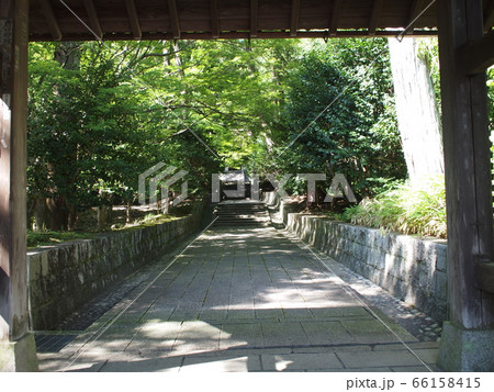 夏の参道_石畳 66158415