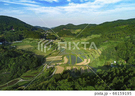 日本棚田百選「大垪和西の棚田」 66159195